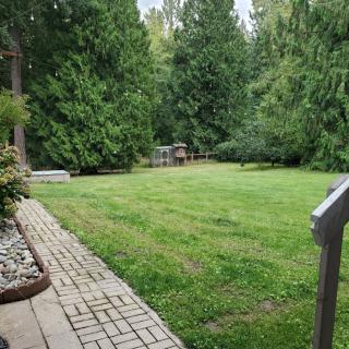 A lush green backyard with a manicured lawn and surrounding trees.