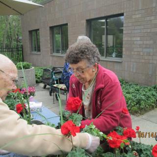 Elderly individuals engaged in gardening outdoors, surrounded by vibrant flowers.