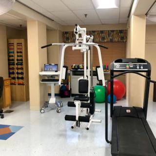 A well-equipped gym area featuring a strength training machine and a treadmill, complemented by exercise balls.