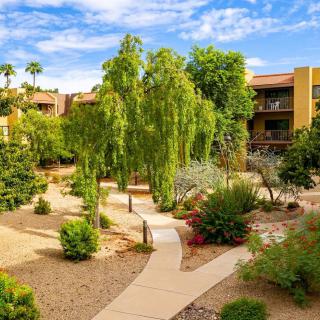 A beautifully landscaped residential garden featuring winding pathways and lush greenery.