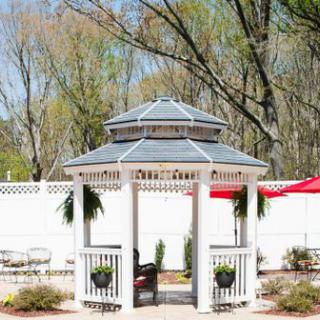 A charming white gazebo surrounded by nature, with trees in the background and hanging plants adorning it.