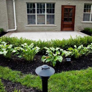 A neatly landscaped garden with a variety of plants in front of a house patio.