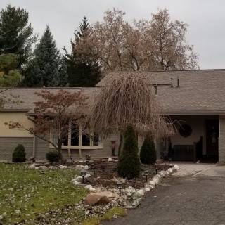 A suburban house surrounded by trees with a driveway and landscaped front yard.