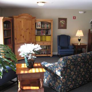 A cozy living room with a bookshelf, armchair, sofa, and indoor plants.