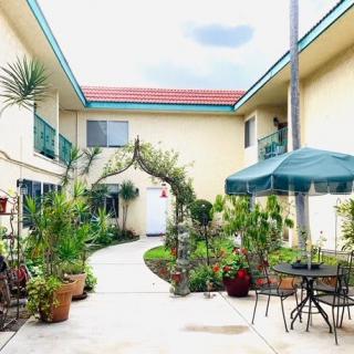 A sunny courtyard with lush plants and outdoor furniture in an apartment complex.
