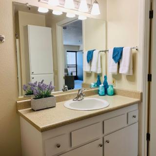 A clean and bright bathroom with a single sink, mirror, and neatly arranged towels.