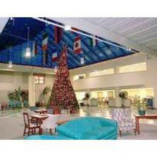 A lobby decorated with a Christmas tree and international flags.