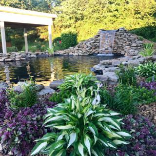 A beautifully landscaped garden with a pond and stone wall water feature surrounded by lush foliage.