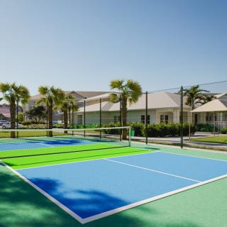 A tennis court surrounded by palm trees on a sunny day.