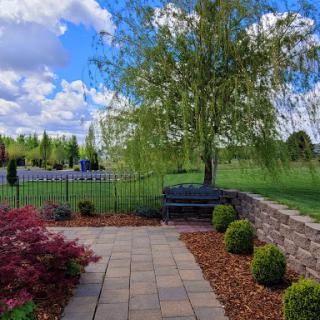 A serene garden scene featuring a beautiful tree, colorful shrubs, and a clear blue sky.