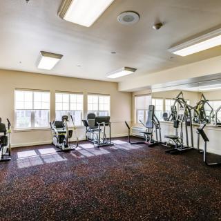 A well-lit gym with various exercise equipment and treadmills.