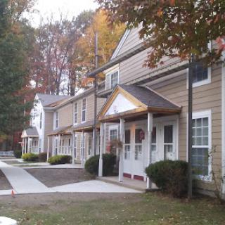 A row of townhouses surrounded by autumn foliage.