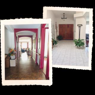 A comparison of two elegant hallway interiors featuring decorative plants and unique architectural details.