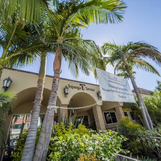 A sunny view of a commercial building surrounded by lush palm trees.