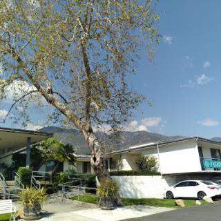 Pasadena Park Healthcare And Wellness Center