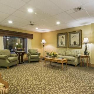 A cozy living room with sofas, armchairs, and elegant decor.