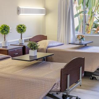 A clean and organized hospital room with two beds adorned with small plants.