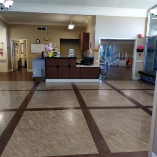 A bright and spacious reception area with a welcoming atmosphere.