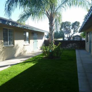 A suburban backyard featuring a lush lawn and a tall palm tree between two houses.