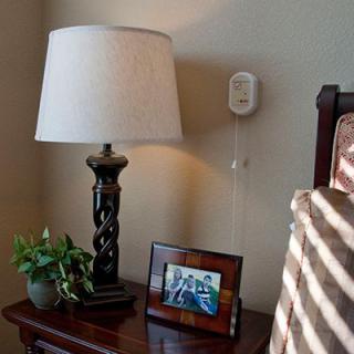 A cozy bedside table with a lamp, a small plant, and a photo frame.