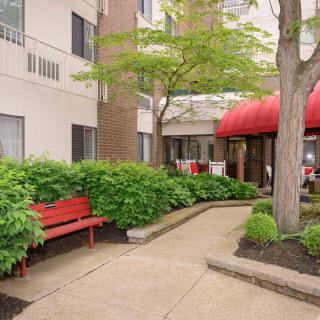A peaceful courtyard with benches and lush greenery.
