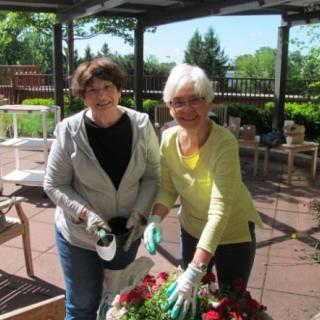 Two women gardening on a sunny patio, surrounded by plants.