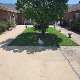 A well-maintained courtyard featuring a central tree surrounded by grass and decorative stones.