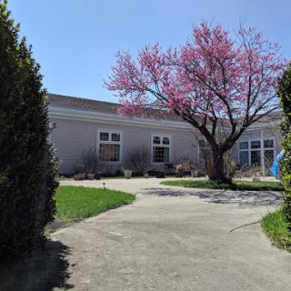 A picturesque house surrounded by a well-maintained garden featuring a flowering tree.