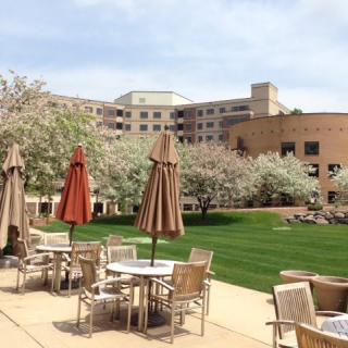 An outdoor patio area with tables, chairs, and umbrellas, set against the backdrop of a large building and surrounded by landscaped greenery.