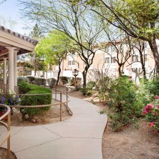 A serene garden walkway surrounded by lush greenery leading to a building.