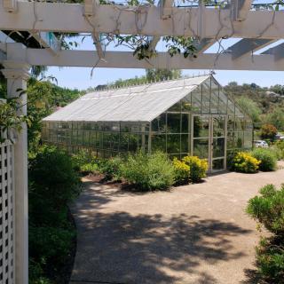A sunny day in a garden featuring a glass greenhouse surrounded by plants.