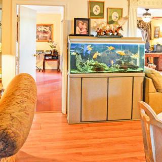 A cozy living room featuring a large aquarium as a focal point.