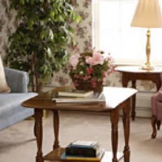 Cozy living room with a wooden table, sofas, and decorative plants.