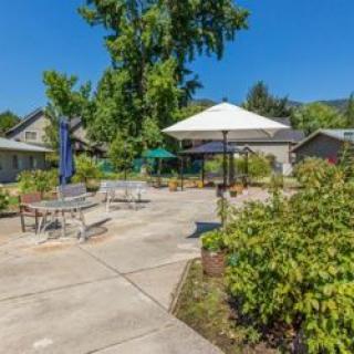 A sunny outdoor area with patio furniture and umbrellas surrounded by trees and greenery.