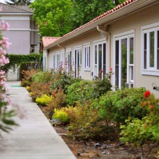 A landscaped pathway lined with shrubs and flowers alongside a building with large windows.