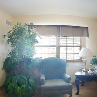 A cozy living room corner with an armchair, indoor plants, and a table near a window.
