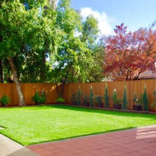 A neatly landscaped backyard with a lawn and surrounding trees.