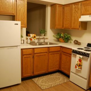A cozy kitchen with wooden cabinets, a white refrigerator, stove, and various decorative plants on the countertop.