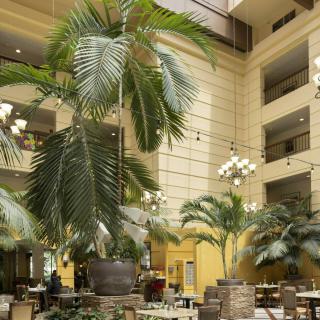 A spacious indoor atrium with tall palm trees and seating arrangements.