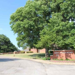 A sunny day view of a building and a large tree by the roadside.