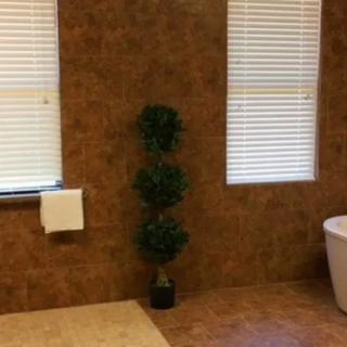 A spacious bathroom with a bathtub, plant, and windows with blinds.
