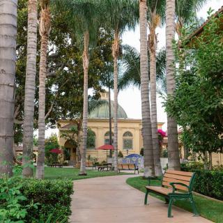 A serene park pathway lined with palm trees and benches, leading to a domed building in the background.
