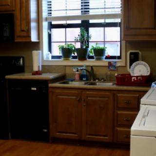 A cozy kitchen with wooden cabinets, a sink, and plants on the window sill.