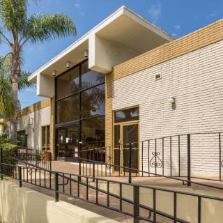 A modern building with large windows and a palm tree on a sunny day.
