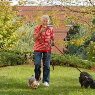 An elderly woman walking two dogs in a garden.