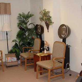 A cozy salon interior with chairs, hair dryers, and decorative plants.