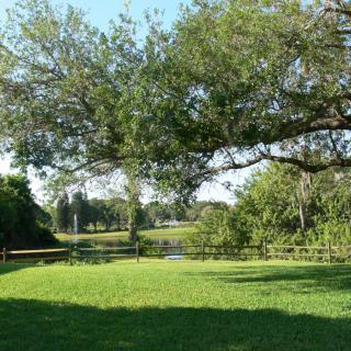 A serene park landscape with lush green grass, trees, and a distant lake under a clear sky.