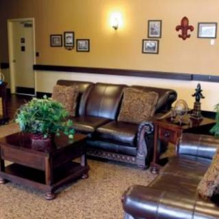 A cozy living room with a leather sofa, decorative plants, and framed wall art.