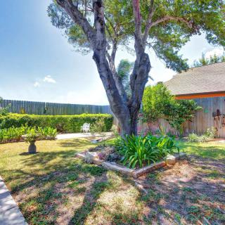 A sunny backyard featuring a large tree, a well-maintained garden, and a fence enclosing the area.