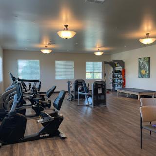 A spacious gym featuring modern exercise equipment and ample natural light.